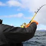 Tysfjord Storjord I Tysfjord