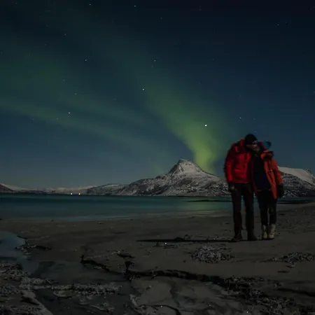 Üdülőpark Tysfjord *