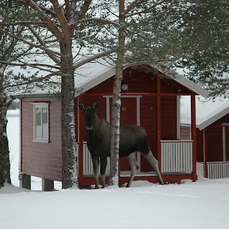 Tysfjord 홀리데이파크 *