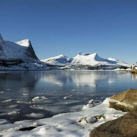 Tysfjord