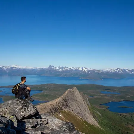Tysfjord Storjord I Tysfjord