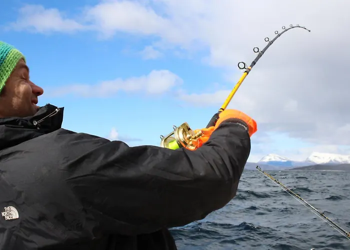 Tysfjord Storjord I Tysfjord